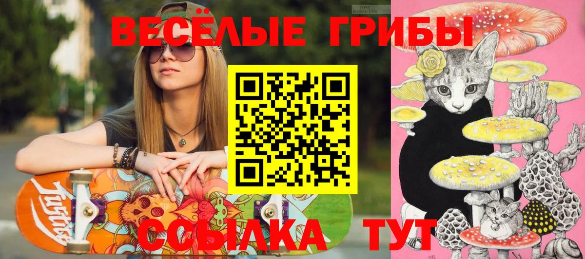 Железногорск  Псилоцибиновые грибы Psilocybine cubensis  Псилоцибиновые грибы ЛСД  Вход с VPN 