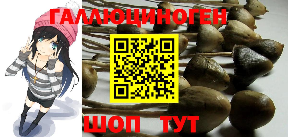 Галлюциногенные грибы GOLDEN TEACHER Железногорск